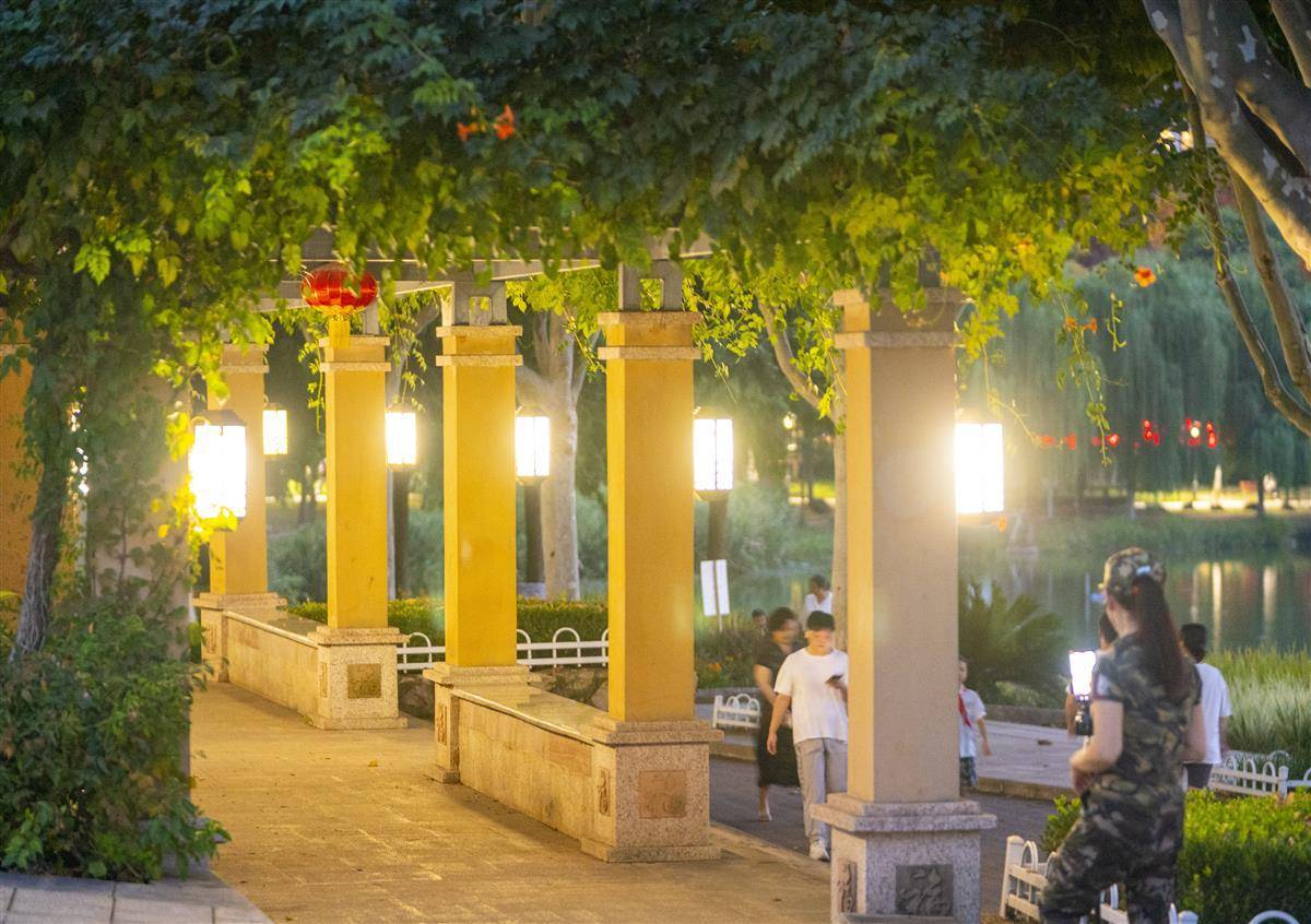 龙宝是什么意思